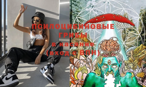 PSILOCYBIN Магадан