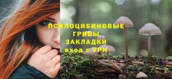 PSILOCYBIN Магадан