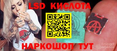 молекула духа Будённовск