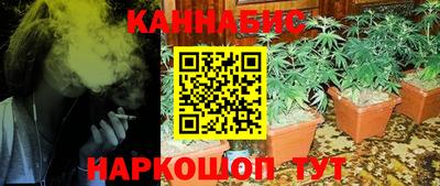 шишки Гай