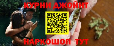 гашик Гатчина