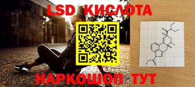шишки Гай
