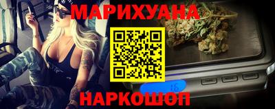 шишки Гай