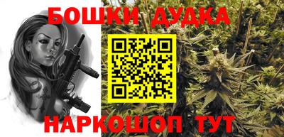 шишки Гай