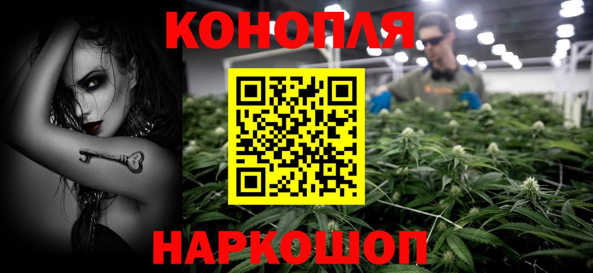 Бошки марихуана Bruce Banner  Вход с VPN  Карталы  Шишки марихуана White Widow  Бошки Шишки планчик 